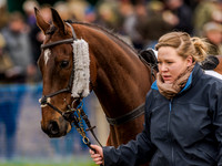 Race 4 - PPORA Novice Riders (17 of 132).jpg