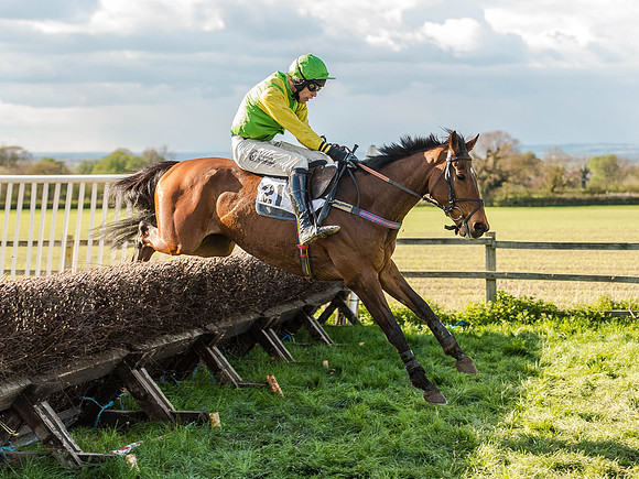 Race 6 - The Open Maiden (76 of 122).jpg