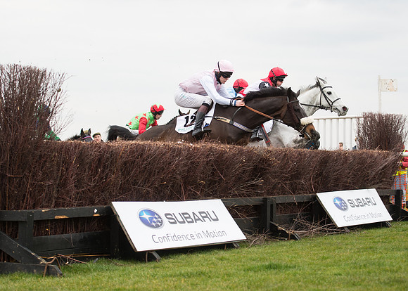Race 6 - Confined Hunts-38