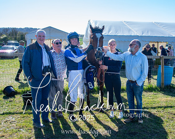 Race 6 - Veteran horse (105 of 109)