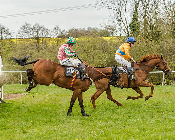 Race 2 - Open Maiden  (89 of 170).jpg