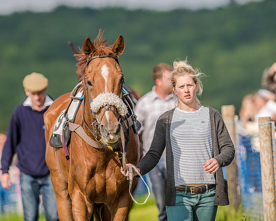 Race 7 - Div 1 - Open Maiden (13 of 94).jpg