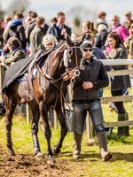 Race 4 - Ladies Open [Nov-Vet] (3 of 82).jpg
