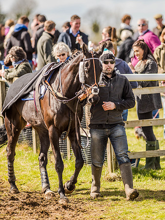 Race 4 - Ladies Open [Nov-Vet] (3 of 82).jpg