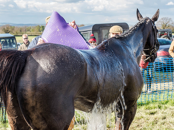 Race 5 - The Southern Grand national (81 of 96).jpg