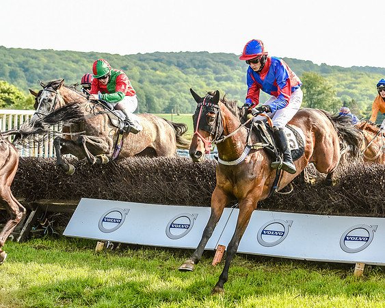 Race 7 - Div 1 - Open Maiden (55 of 94).jpg