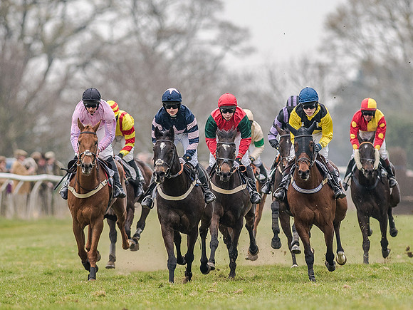Race 5 - Open Maiden Division 1  (42 of 90).jpg