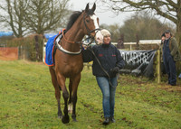 Race 1 - Confined Hunts (12 of 101).jpg