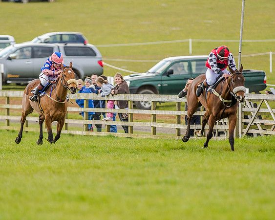 Pony Race 3 (31 of 78).jpg