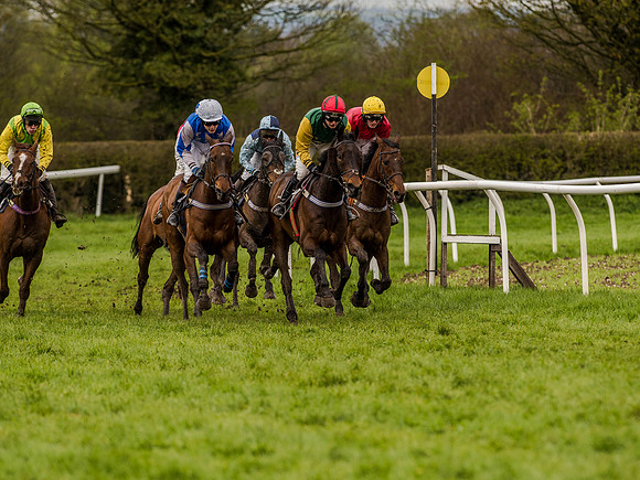Race 1 - Confined Hunts (68 of 118).jpg
