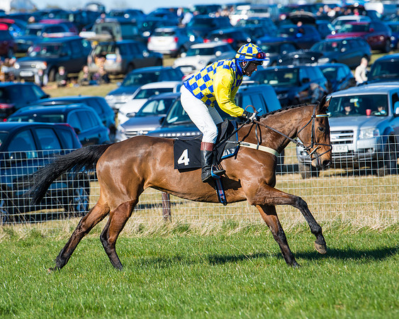 Race 5 - Novice riders (8 of 201)