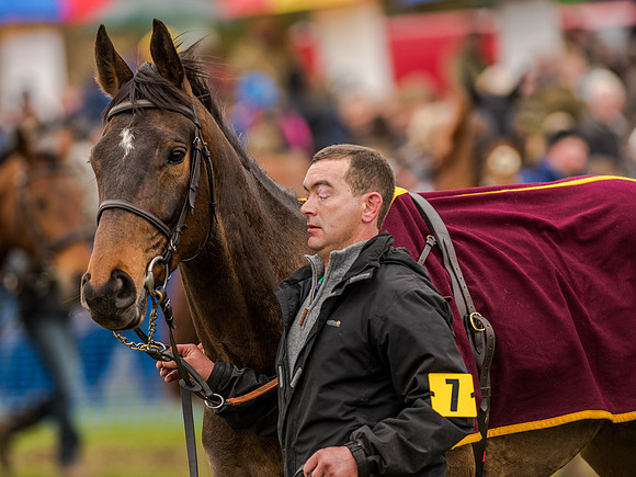 Race 3 - Young Horse maiden 2m5f (33 of 124).jpg