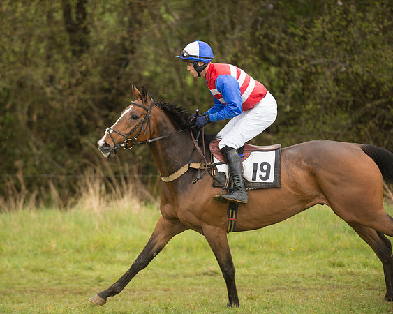 Race 5 - Open Maiden (51 of 147).jpg