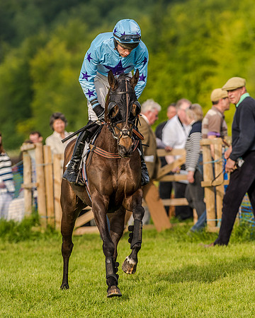 Race 7 - Div 2 - Open Maiden (64 of 163).jpg