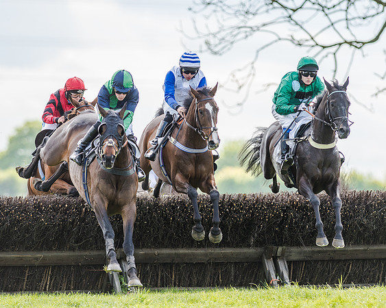 Race 4 - PPORA Novice Riders (86 of 196).jpg