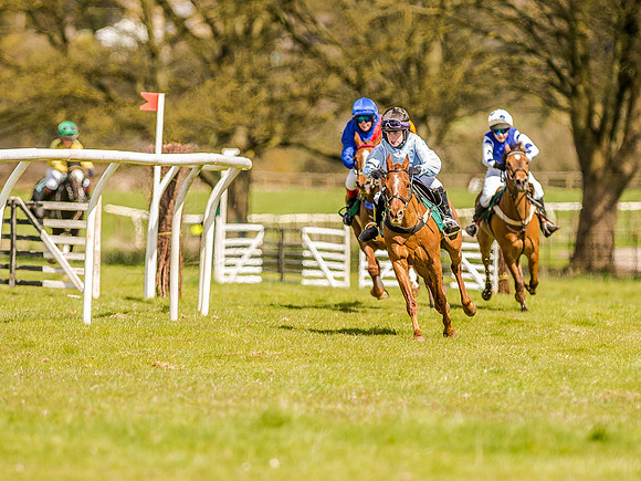 Pony Races (55 of 127).jpg