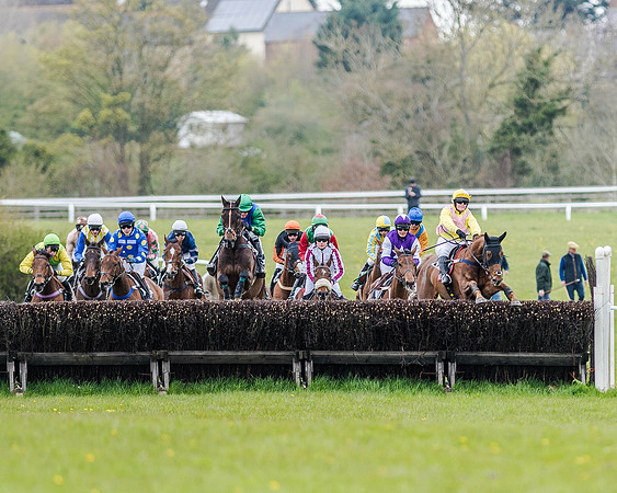Race 2 - Open Maiden  (94 of 170).jpg