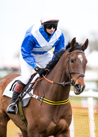 Race 7 - PPORA Novice Riders-20