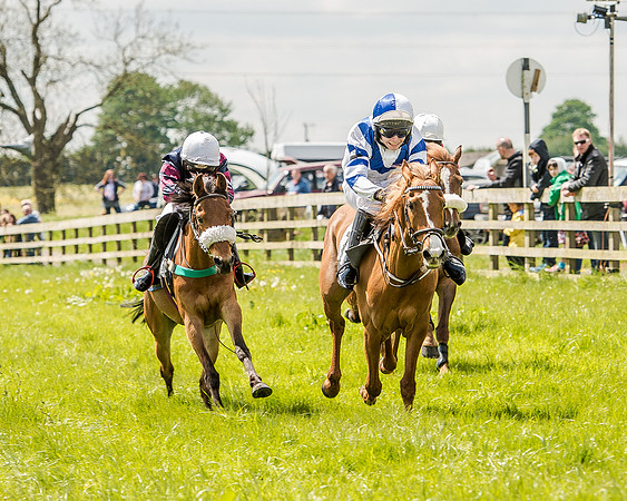 Pony Race 2 (51 of 57).jpg