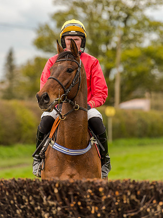 Race 1 - Confined Hunts (43 of 118).jpg