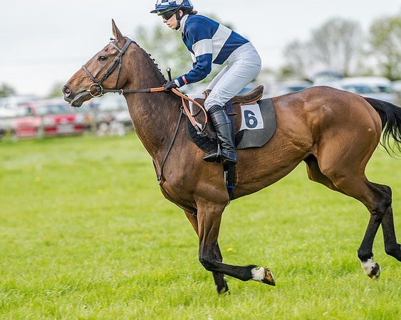 Race 4 - PPORA Novice Riders (84 of 196).jpg