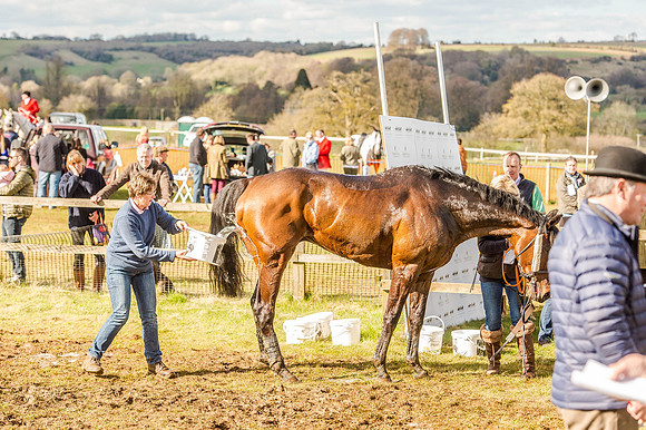 Race 6 - The Restricted Race [Nov-Vet] (80 of 84).jpg