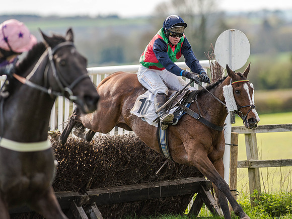 Race 5 - The Southern Grand national (66 of 96).jpg