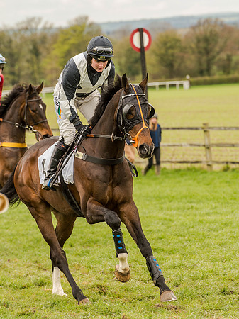 Race 3 - Young Horse maiden 2m5f (39 of 124).jpg