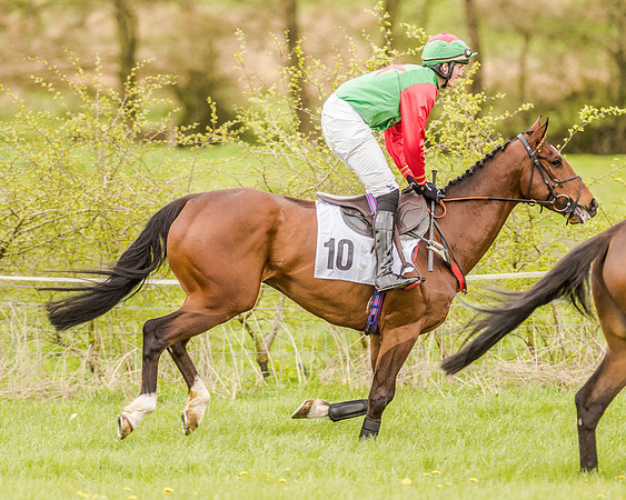 Race 2 - Open Maiden  (49 of 170).jpg