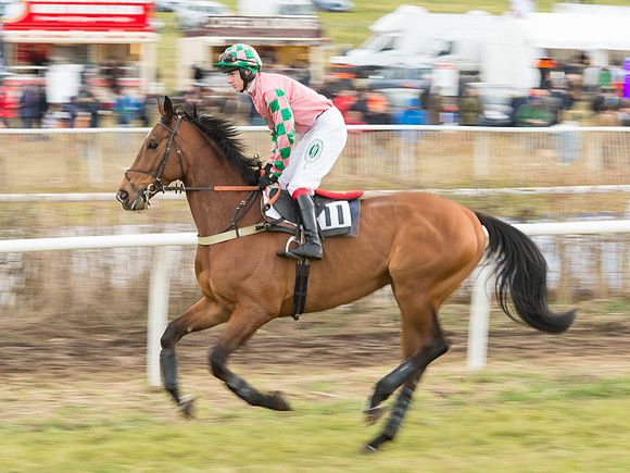 Race 6 - Open Maiden (23 of 110).jpg