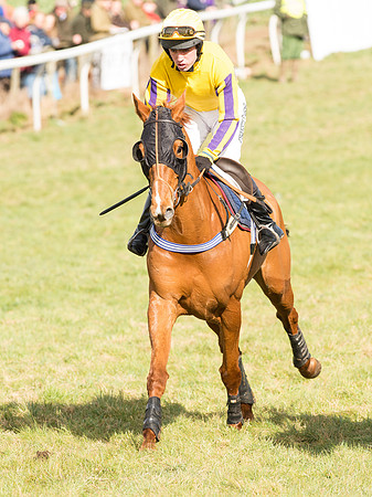 Race 4 - Novice and Veteran Riders race (24 of 46).jpg