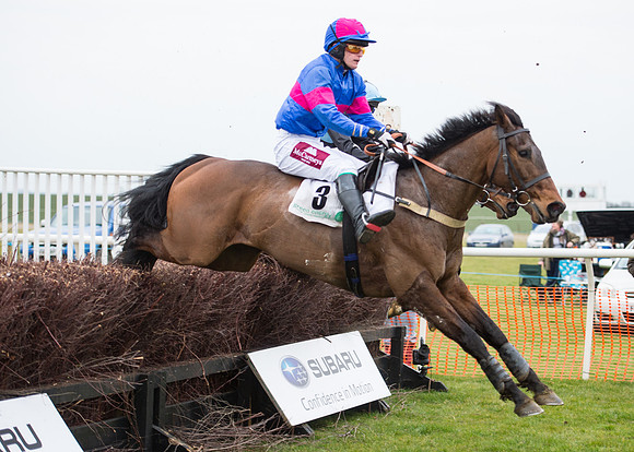 Race 7 - PPORA Novice Riders-71