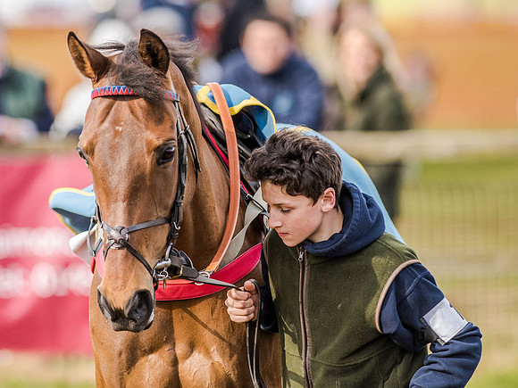 Race 6 - The Restricted Race [Nov-Vet] (7 of 84).jpg