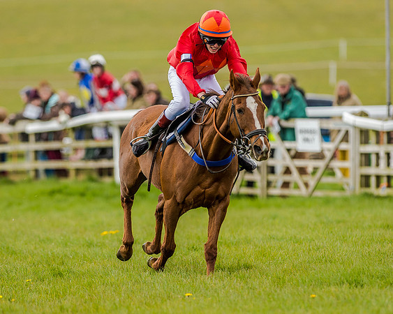 Pony Race 3 (58 of 78).jpg