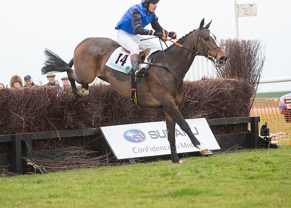 Race 7 - PPORA Novice Riders-63