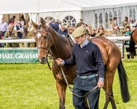 Race 4 - PPORA Novice Riders (18 of 196).jpg