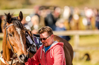 Race 7 - WMAC Members conditions [Nov-Vet] (9 of 114).jpg