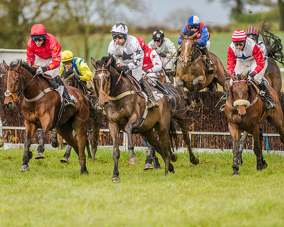 Race 5 - Open Maiden (97 of 147).jpg