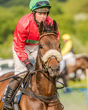 Race 7 - Div 2 - Open Maiden (48 of 163).jpg