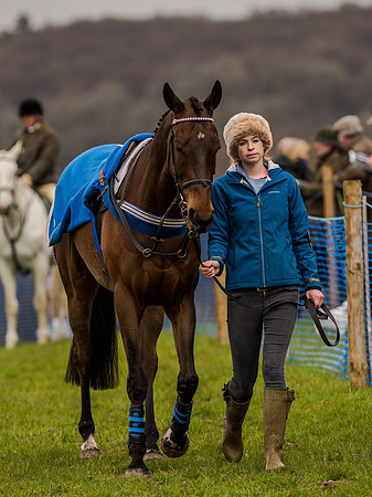 Race 1 - Confined Hunts (16 of 118).jpg
