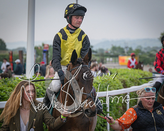 Race 5 - Mares Open Hunter Steeplechase 3m2f 70y (28 of 269)