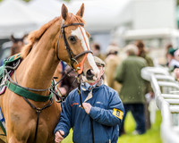 Race 7 - PPORA Members Conditions (7 of 192)