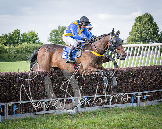 Race 6 - Thorn Plant Hire Maiden Race (66 of 129)