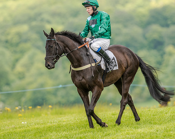 Race 2 - PPORA Members Novice Riders  (27 of 112).jpg