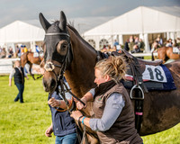 Race 6 - Open Maiden Race (4 of 176).jpg