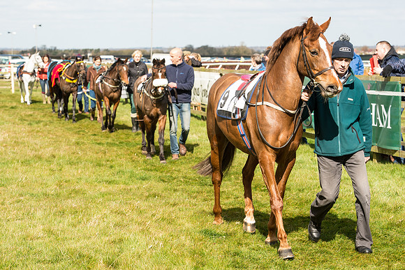Pony Race 1 - 138cm -35