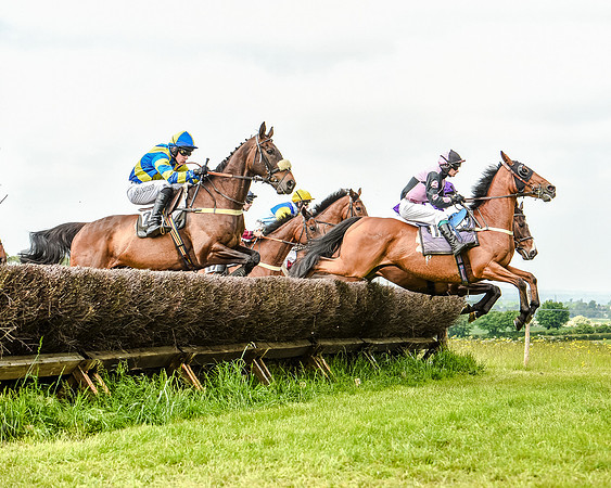 Race 2 - PPORA Members Novice Riders  (44 of 112).jpg