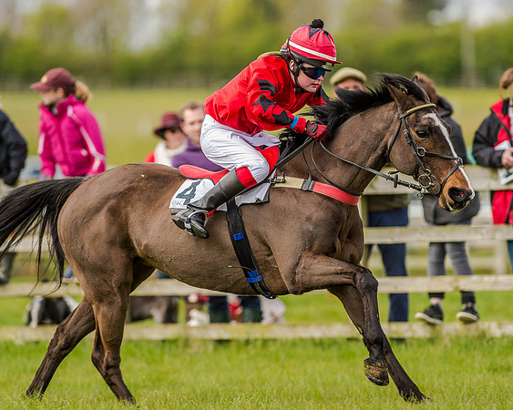 Pony Race 2 (47 of 77).jpg