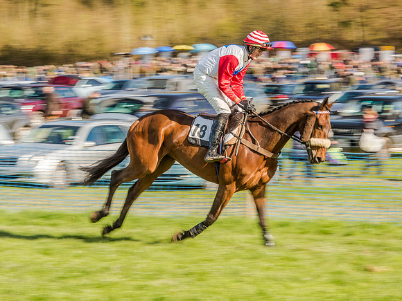 Race 6 - The Open Maiden (25 of 122).jpg