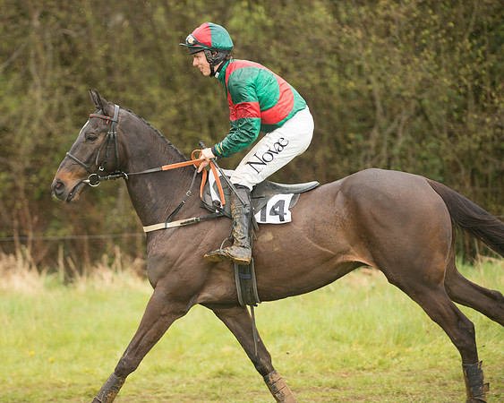 Race 5 - Open Maiden (30 of 147).jpg